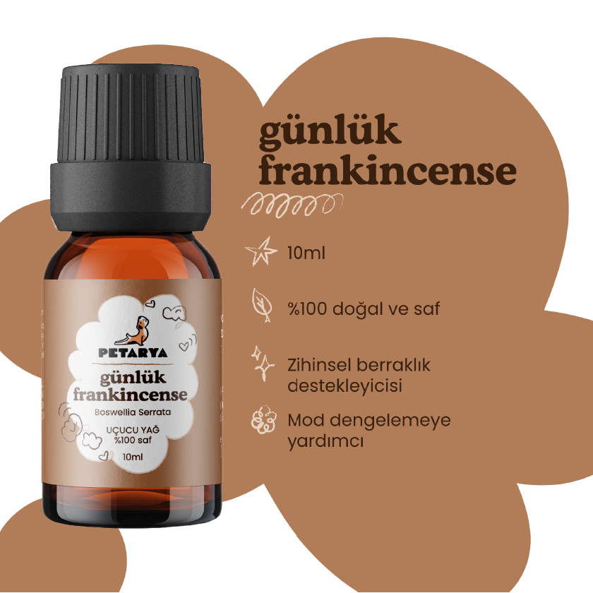 Günlük (Frankincense) Yağı | 10 ml
