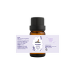 Lavanta Yağı | 10 ml