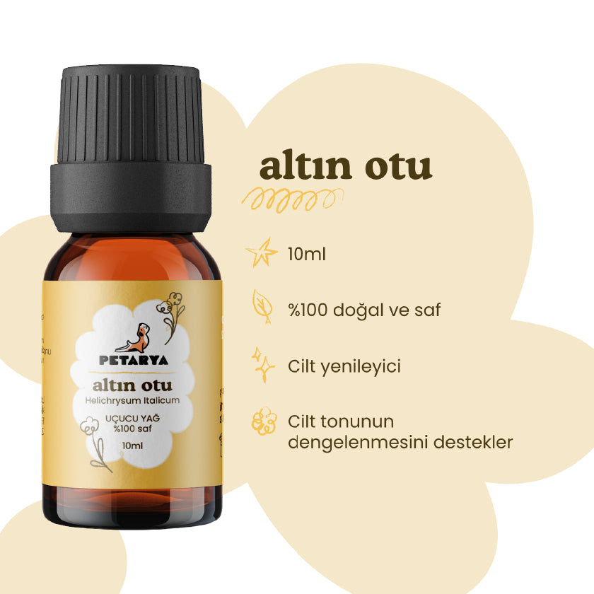 Altın Otu Uçucu Yağı | 10 ml