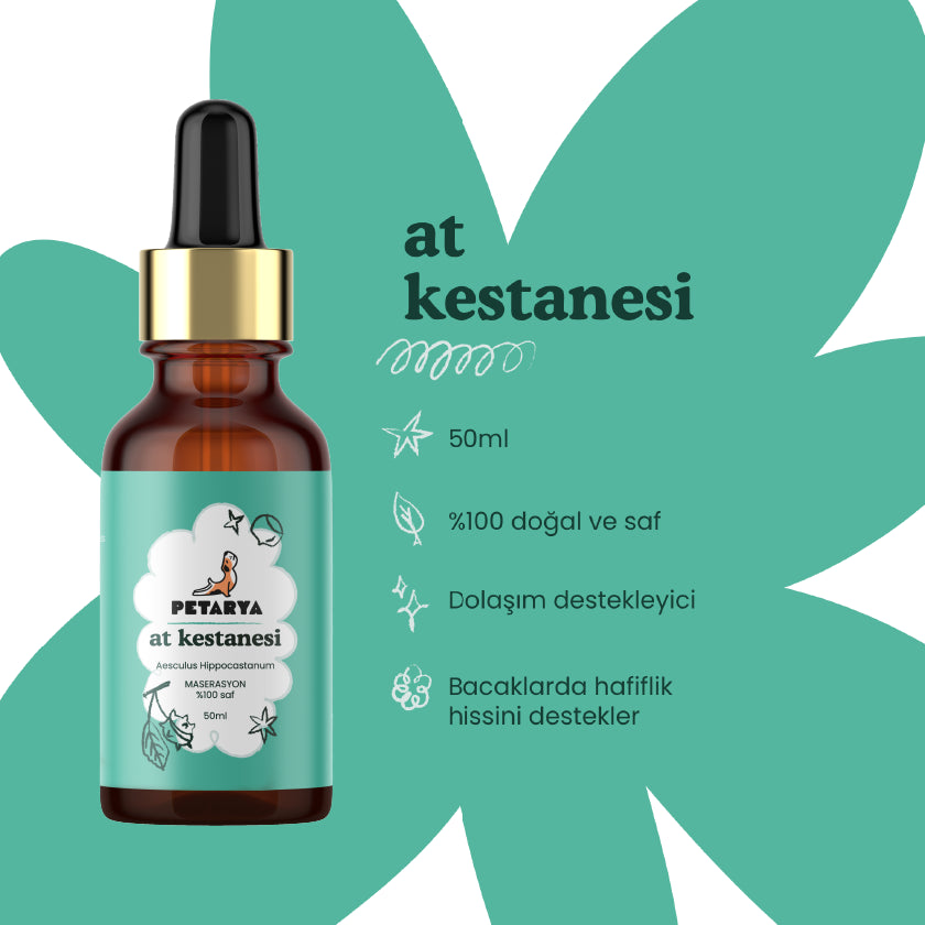 At Kestanesi Yağı | 50 ml