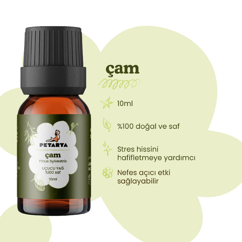Çam Ağacı Yağı | 10 ml