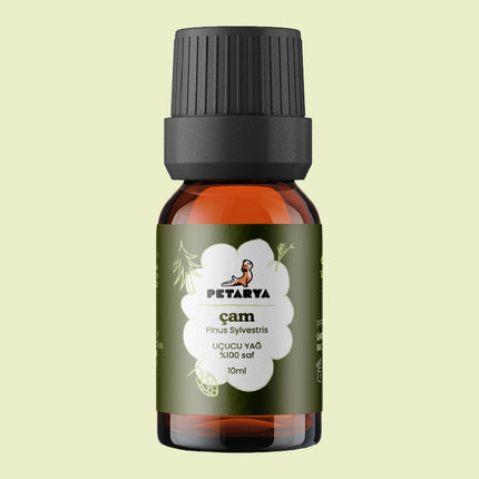 Çam Ağacı Yağı | 10 ml