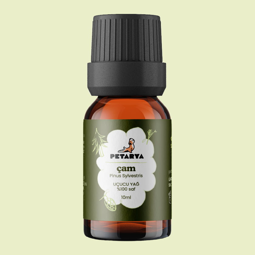 Çam Ağacı Yağı | 10 ml