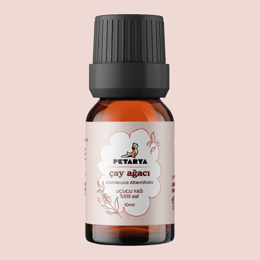 Çay Ağacı Yağı | 10 ml