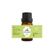 Defne Yaprağı Uçucu Yağı | 10 ml