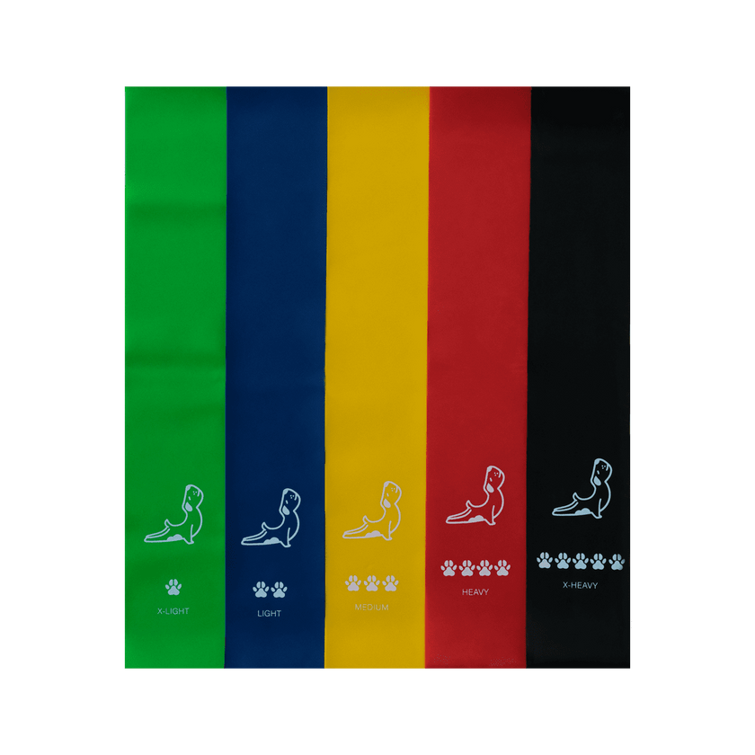 Seviyeli Direnç Bandı Seti