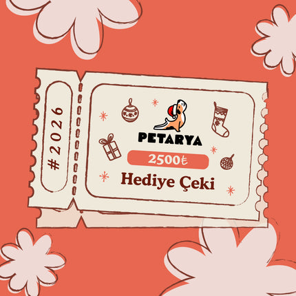 Yeni Yıl Hediye Bakiyesi