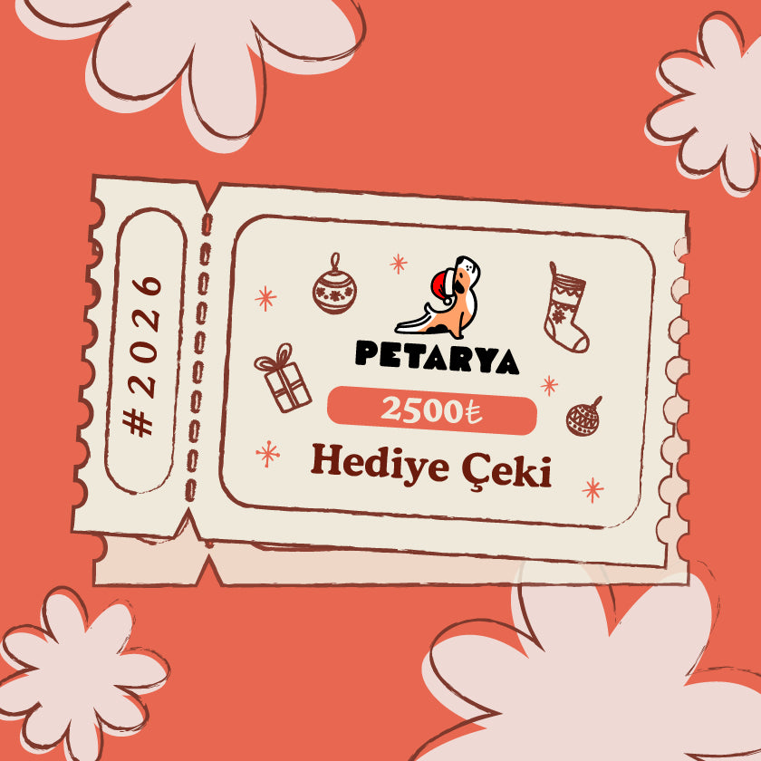 Yeni Yıl Hediye Bakiyesi