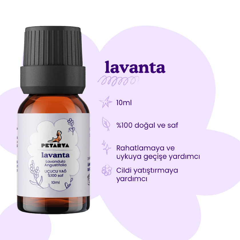 Lavanta Yağı | 10 ml