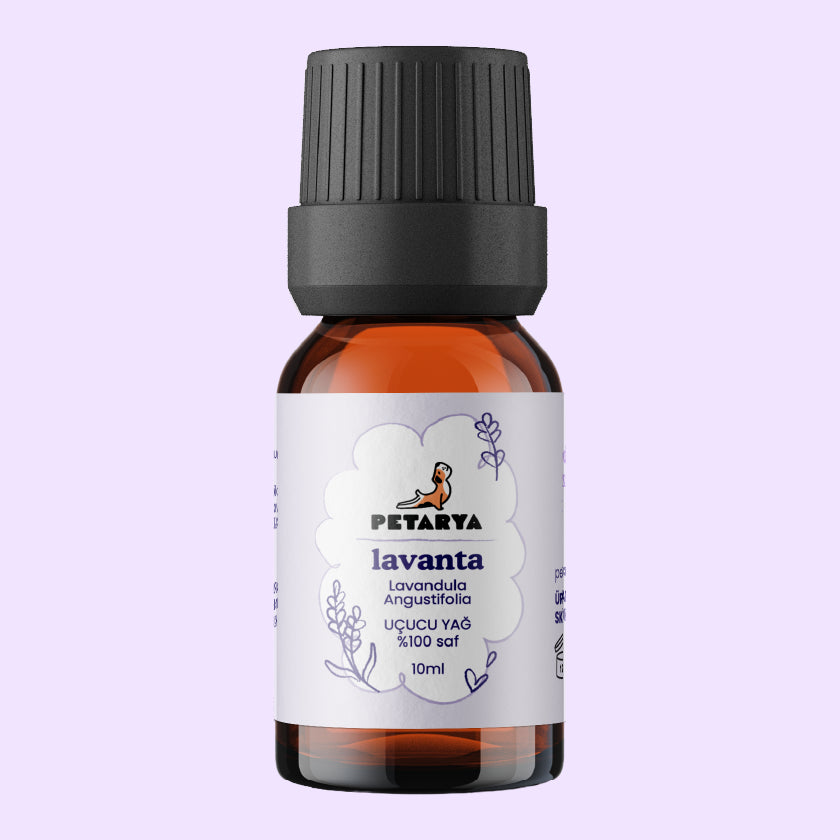 Lavanta Yağı | 10 ml