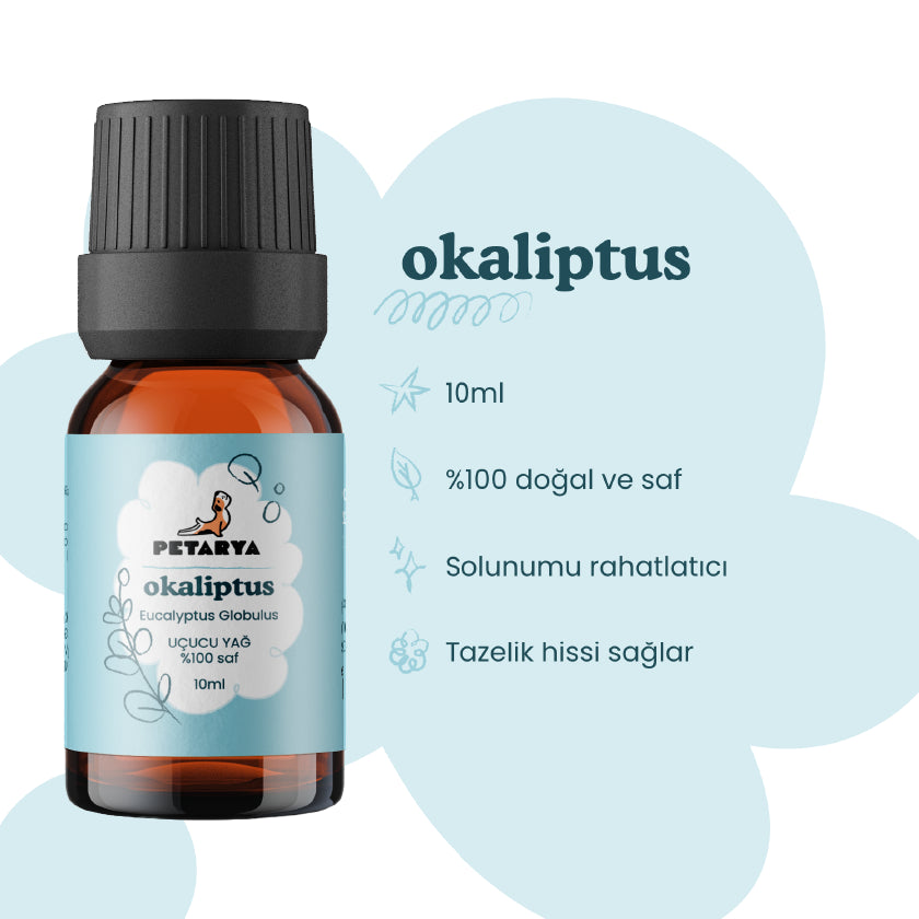 Okaliptüs Yağı | 10 ml