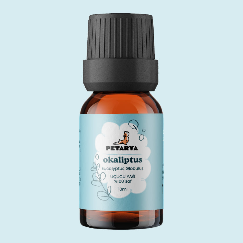 Okaliptüs Yağı | 10 ml
