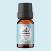 Okaliptüs Yağı | 10 ml