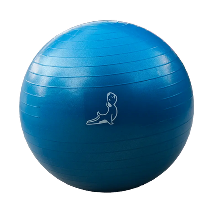 65 cm Mavi Pilates Topu