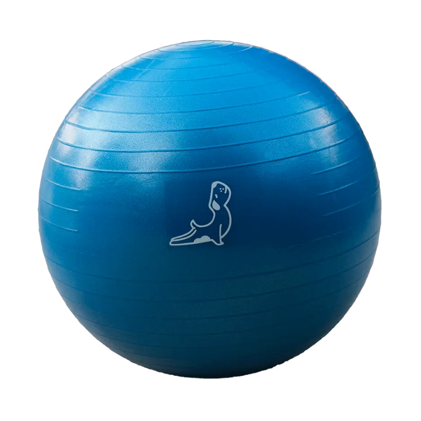 65 cm Mavi Pilates Topu