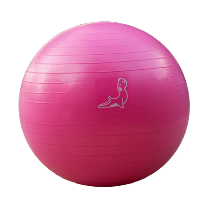 65 cm Pembe Pilates Topu