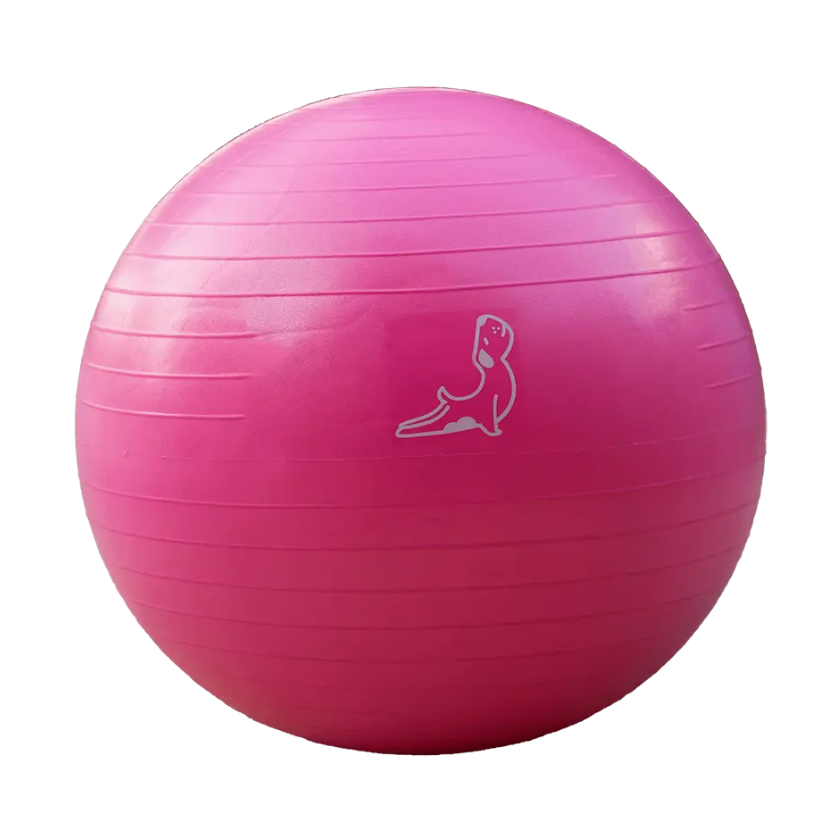 65 cm Pembe Pilates Topu