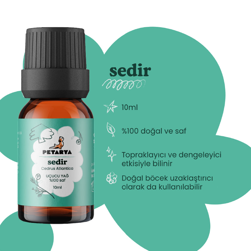 Sedir Yağı | 10 ml