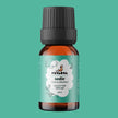 Sedir Yağı | 10 ml