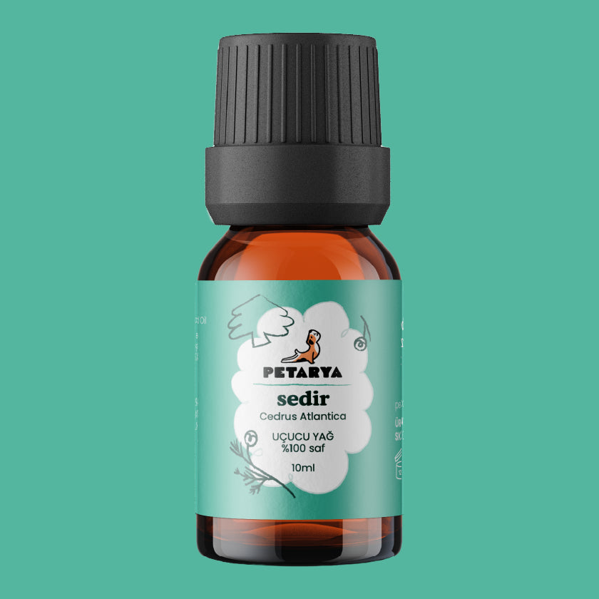 Sedir Uçucu Yağı | 10 ml