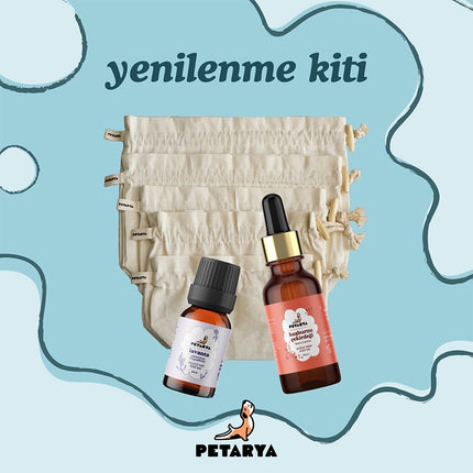 Yenilenme Kiti