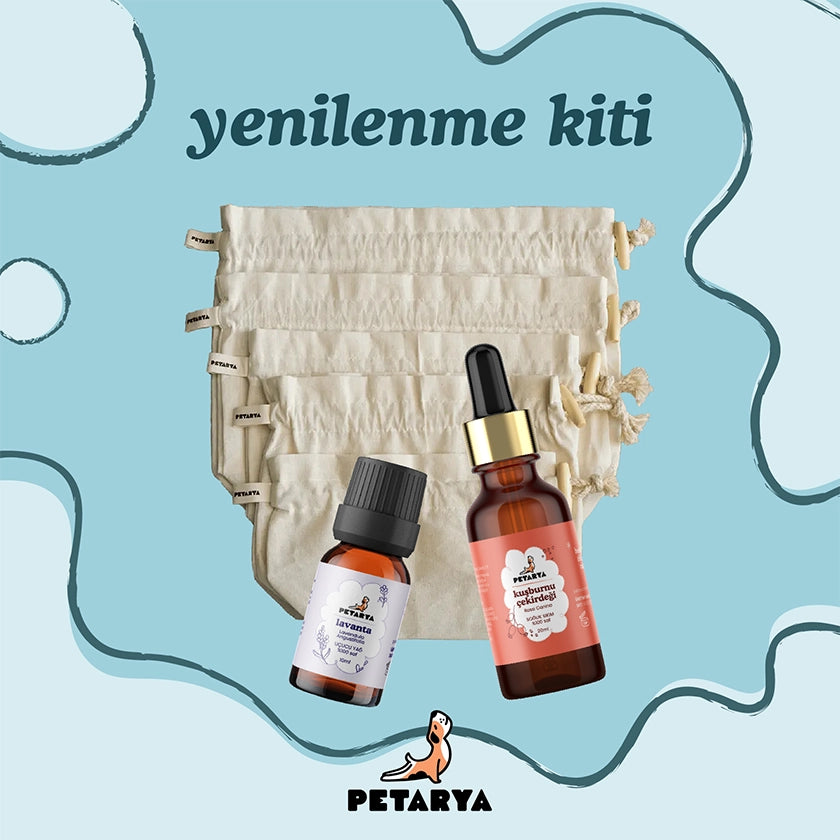 Yenilenme Kiti