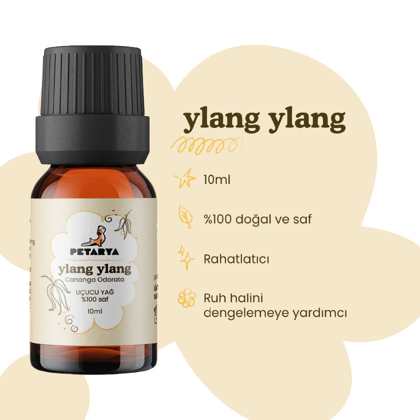 Ylang Ylang Yağı | 10 ml